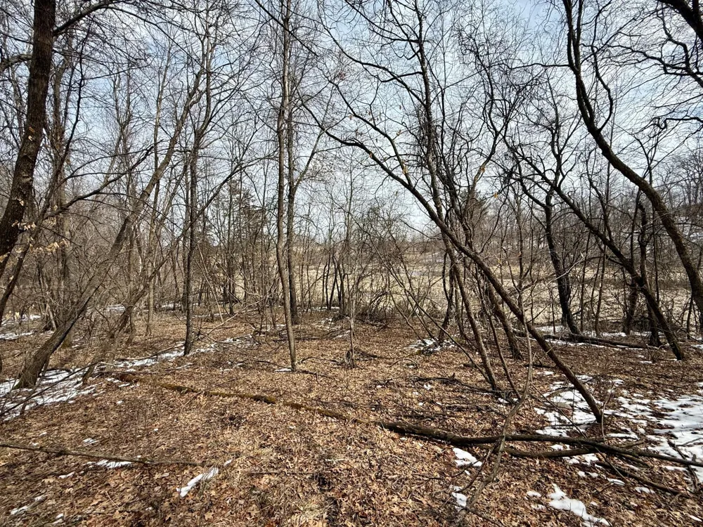 TBD Basswood Drive Sauk Centre, MN 56378