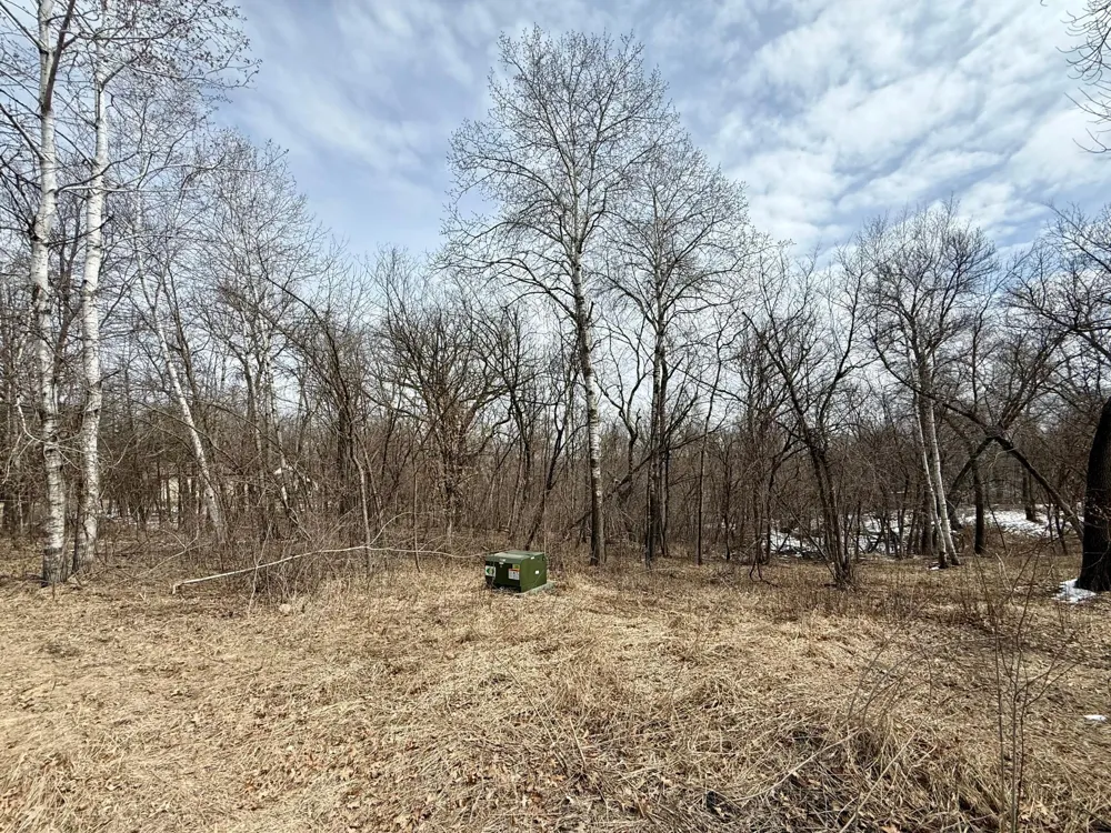 TBD Basswood Drive Sauk Centre, MN 56378