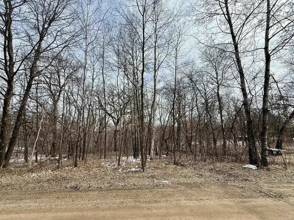 TBD Basswood Drive Sauk Centre, MN 56378