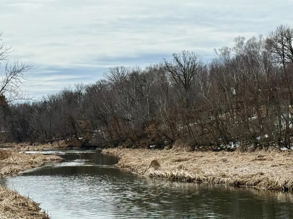 TBD Basswood Drive Sauk Centre, MN 56378