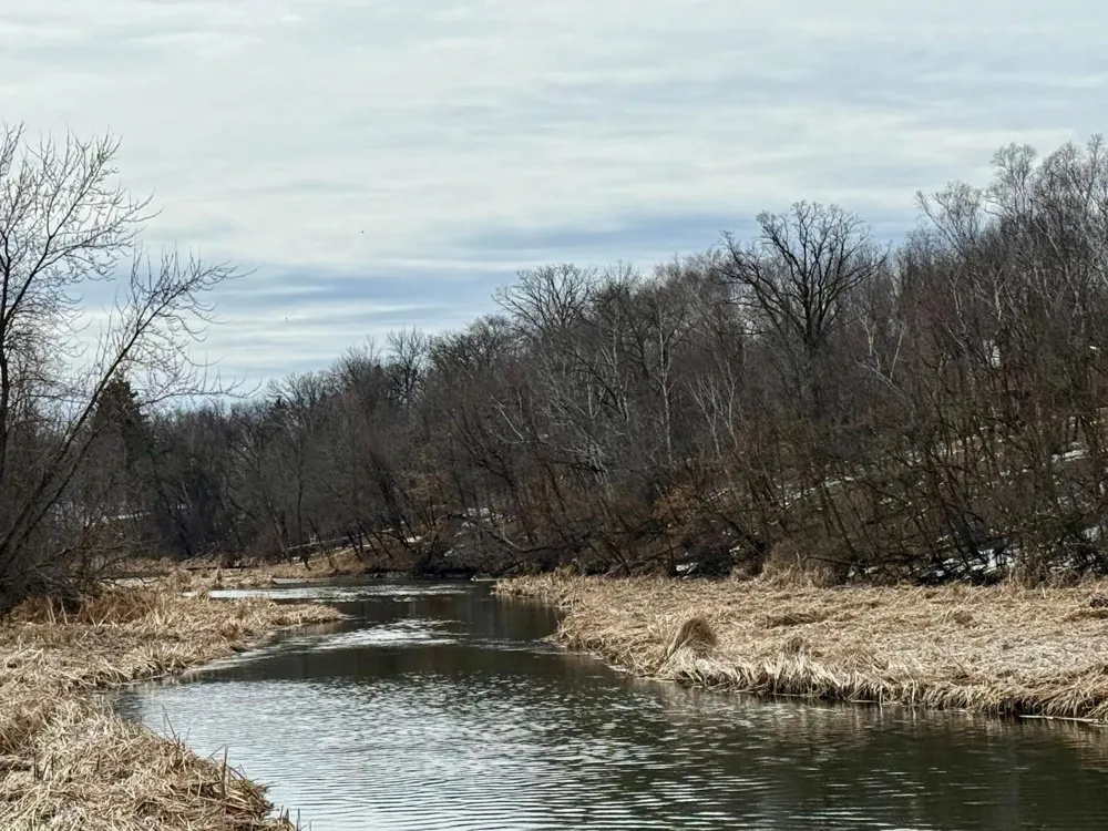 TBD Basswood Drive Sauk Centre, MN 56378