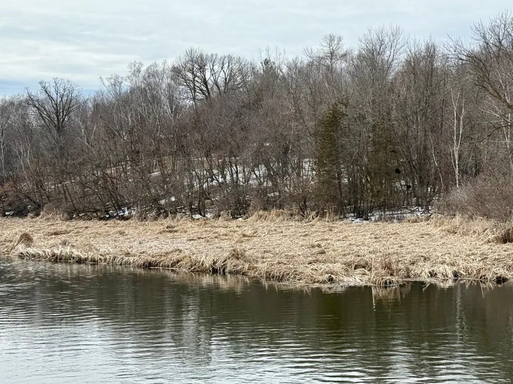 TBD Basswood Drive Sauk Centre, MN 56378