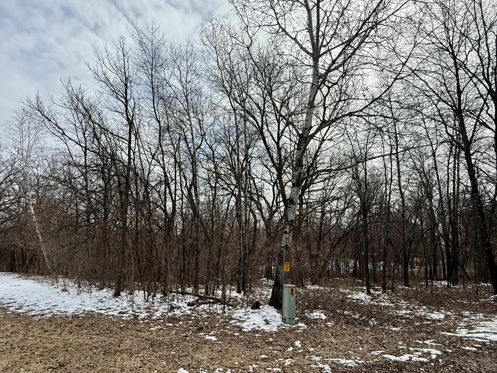 TBD Basswood Drive Sauk Centre, MN 56378