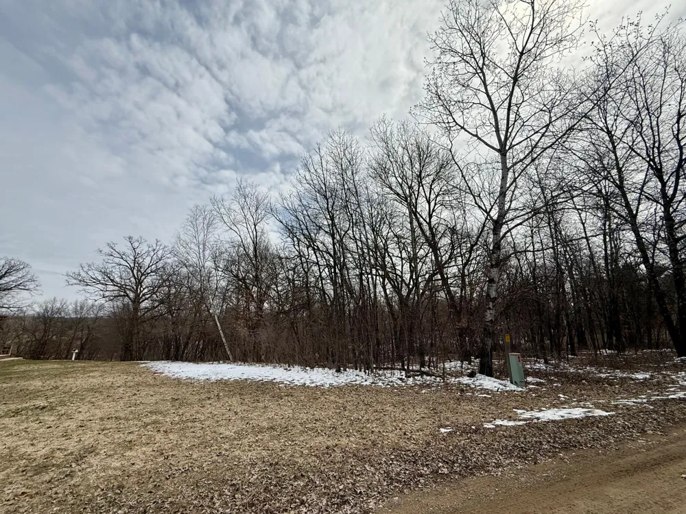 TBD Basswood Drive Sauk Centre, MN 56378