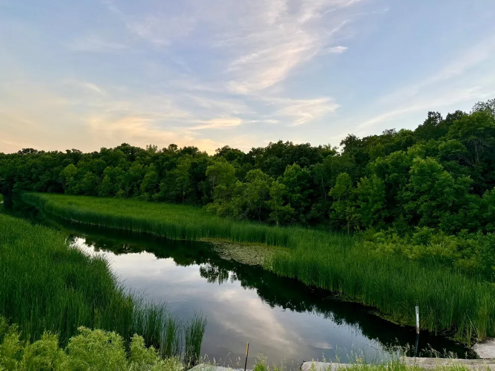 TBD Basswood Drive Sauk Centre, MN 56378