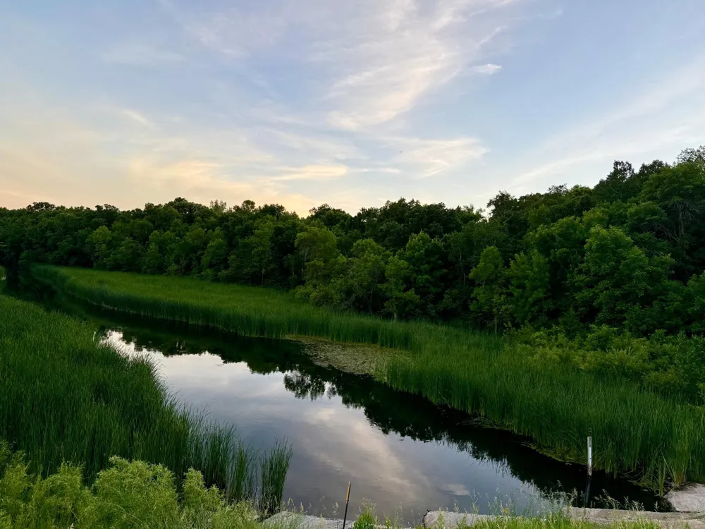 TBD Basswood Drive Sauk Centre, MN 56378
