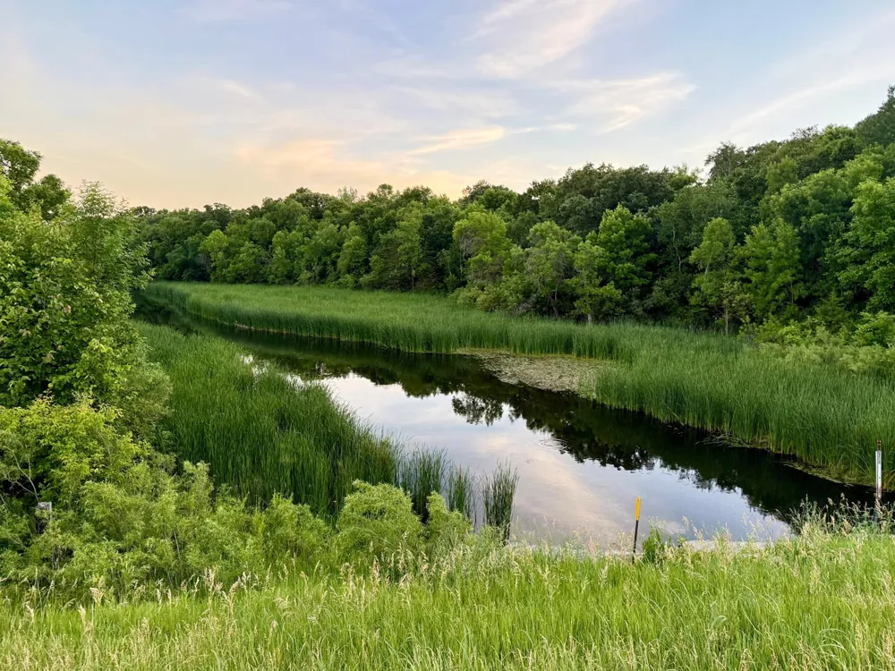 TBD Basswood Drive Sauk Centre, MN 56378