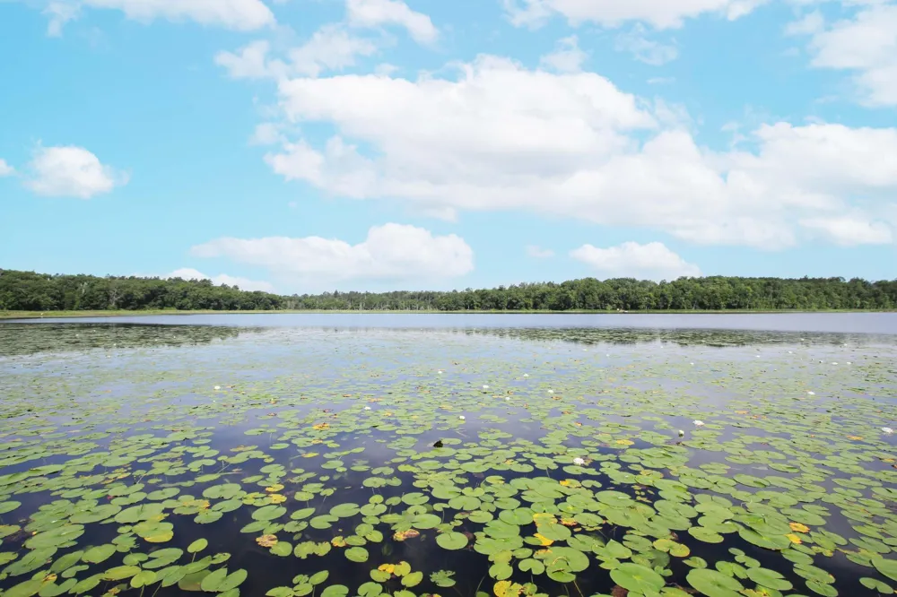 20498 Hay Lake Road Ironton, MN 56455