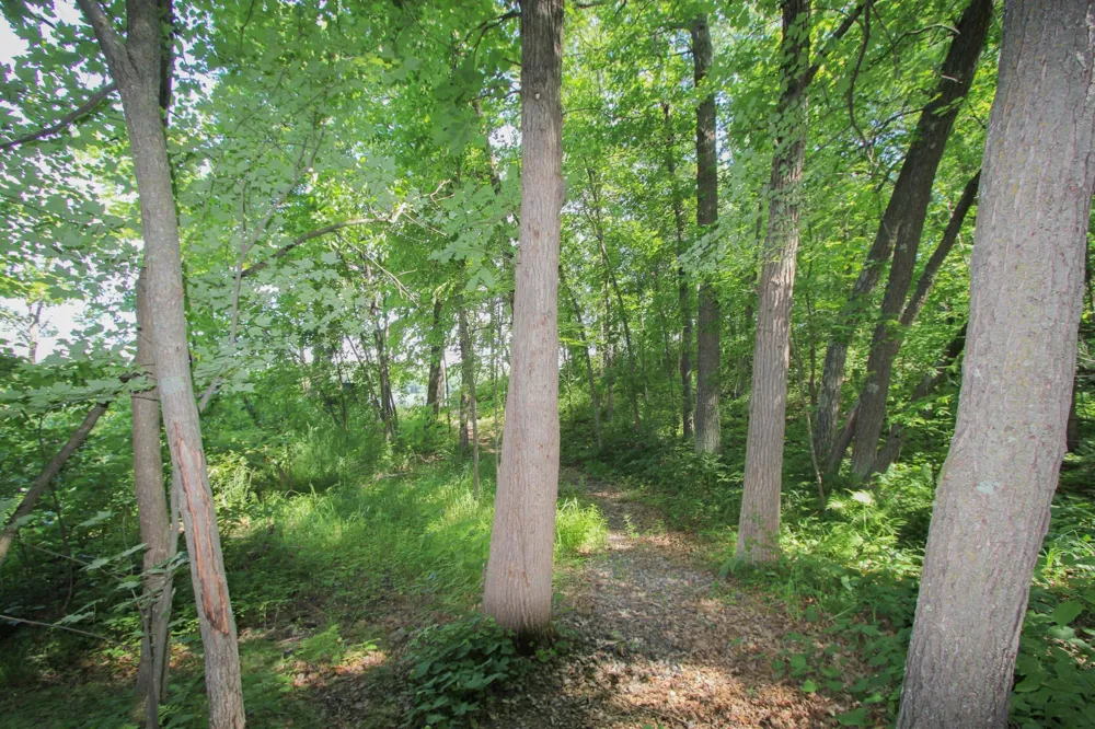 20498 Hay Lake Road Ironton, MN 56455