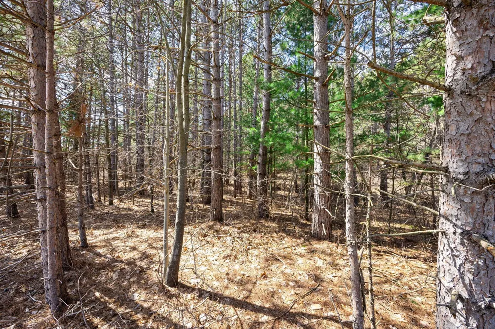 20XX County Rd I (Lot 3) Somerset, WI 54025