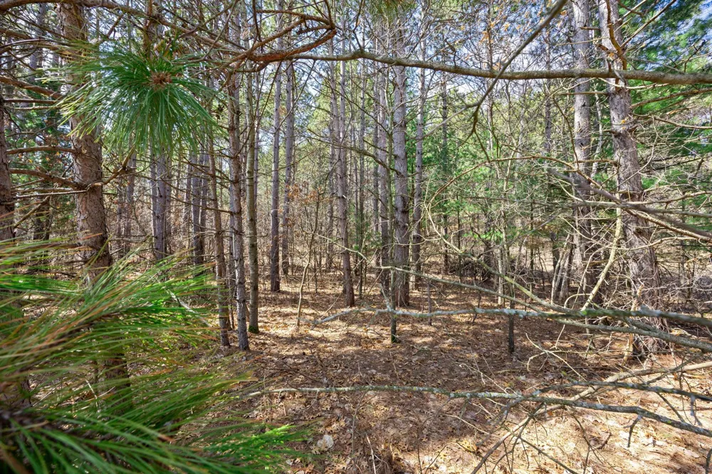 20XX County Rd I (Lot 3) Somerset, WI 54025