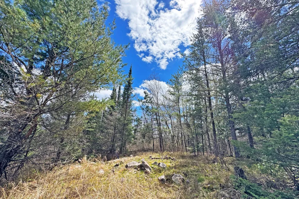 4268 Crane Lake Road Orr, MN 55771