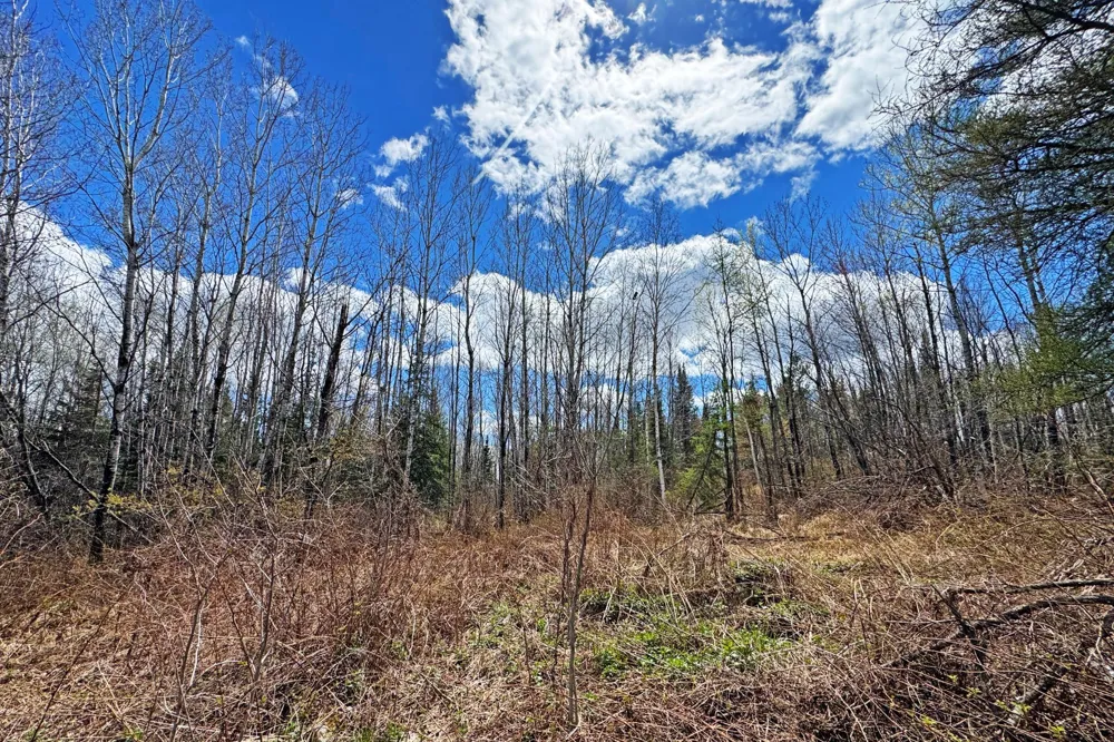 4268 Crane Lake Road Orr, MN 55771