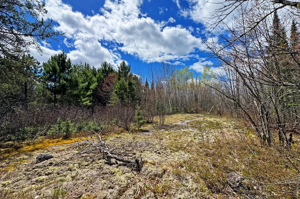 4268 Crane Lake Road Orr, MN 55771