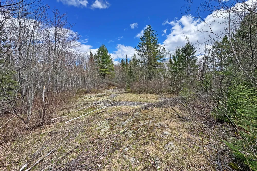 4268 Crane Lake Road Orr, MN 55771