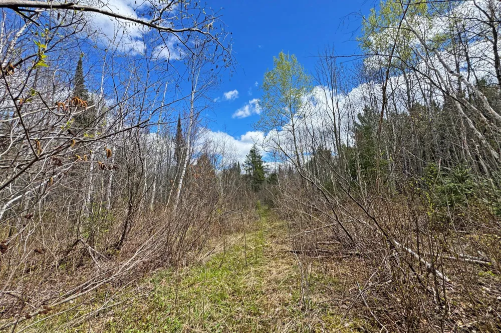 4268 Crane Lake Road Orr, MN 55771