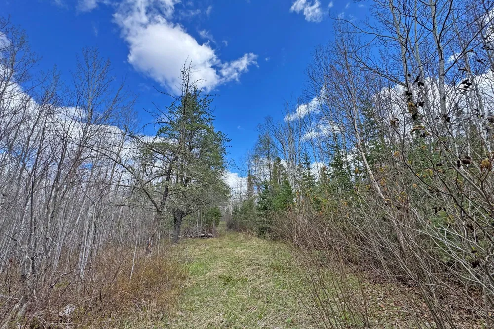 4268 Crane Lake Road Orr, MN 55771