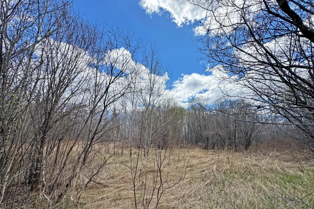 4268 Crane Lake Road Orr, MN 55771