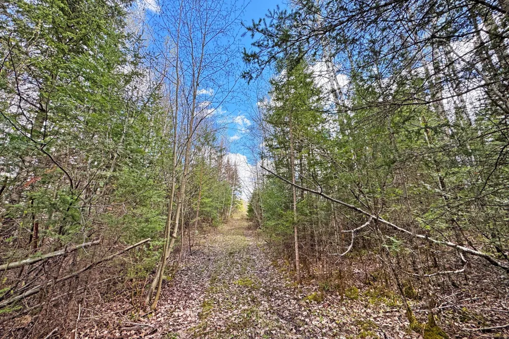 4268 Crane Lake Road Orr, MN 55771