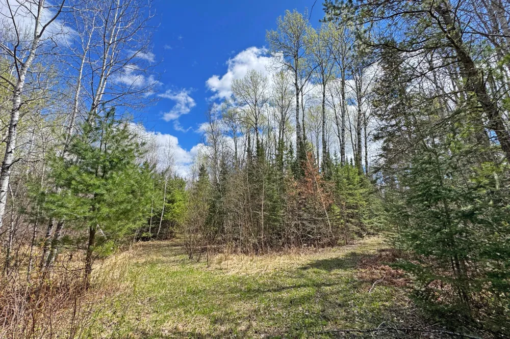4268 Crane Lake Road Orr, MN 55771