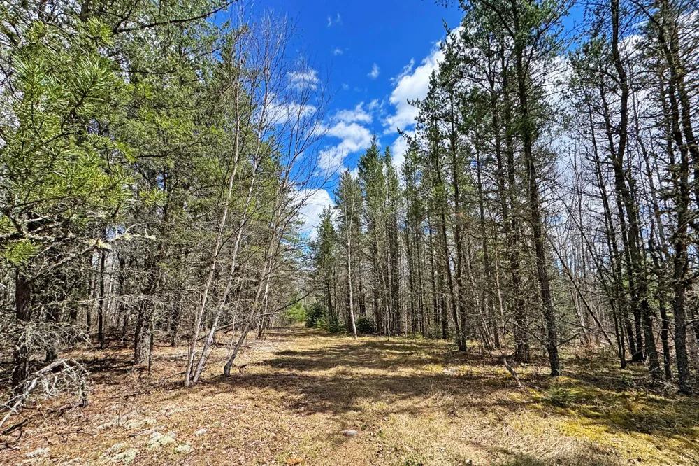 4268 Crane Lake Road Orr, MN 55771
