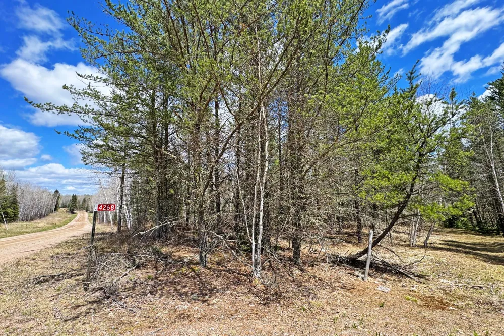 4268 Crane Lake Road Orr, MN 55771