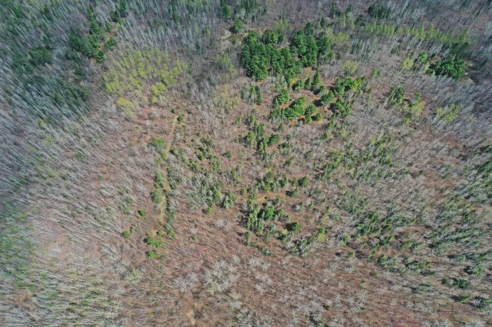 4268 Crane Lake Road Orr, MN 55771