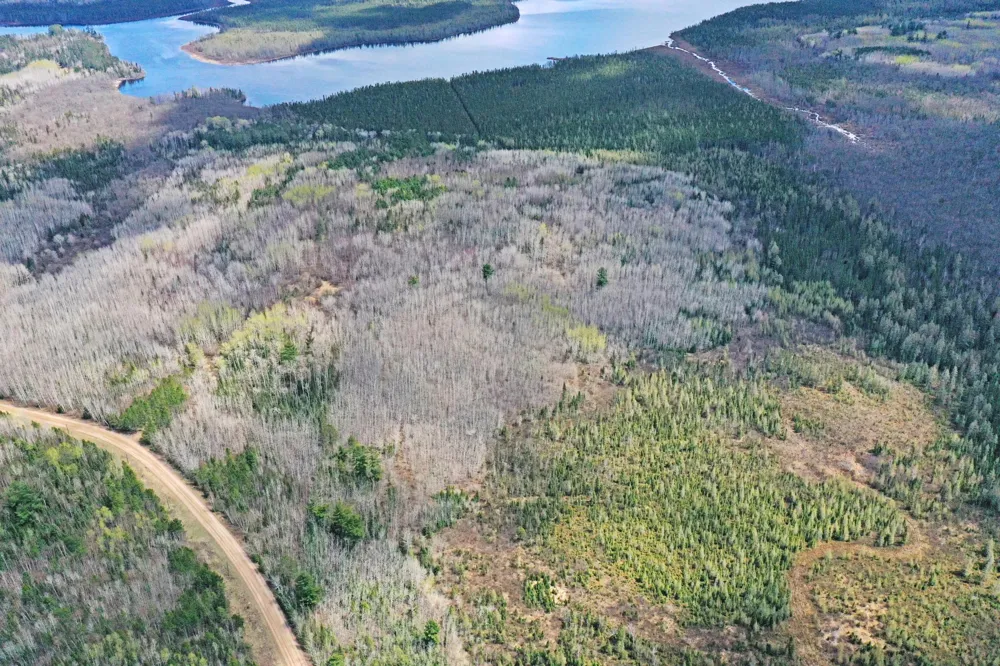 4268 Crane Lake Road Orr, MN 55771