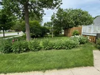 Address Not Shown Olivia, MN 56277