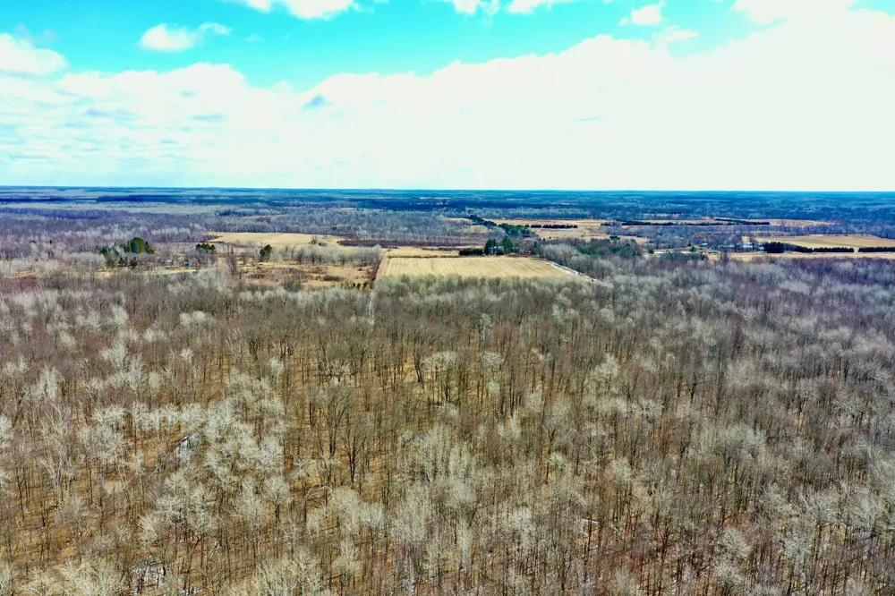 41273 Swede Alley Hinckley, MN 55037