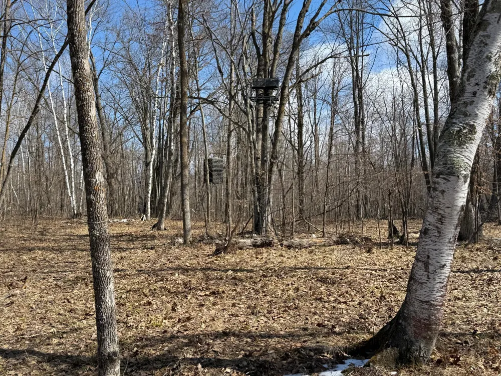 41273 Swede Alley Hinckley, MN 55037