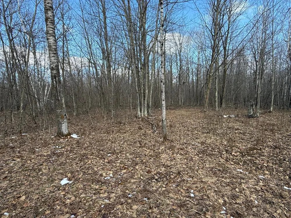 41273 Swede Alley Hinckley, MN 55037