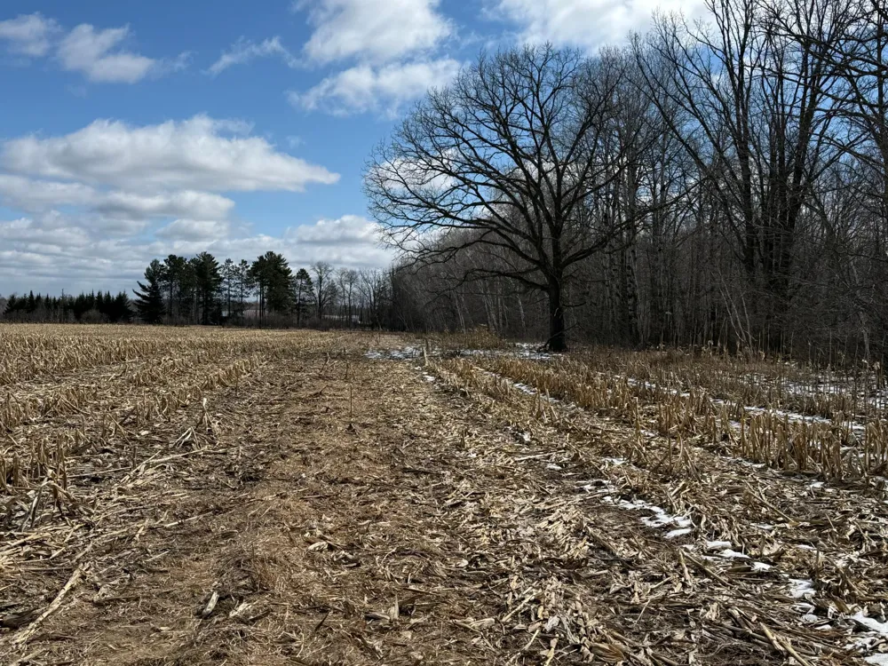 41273 Swede Alley Hinckley, MN 55037