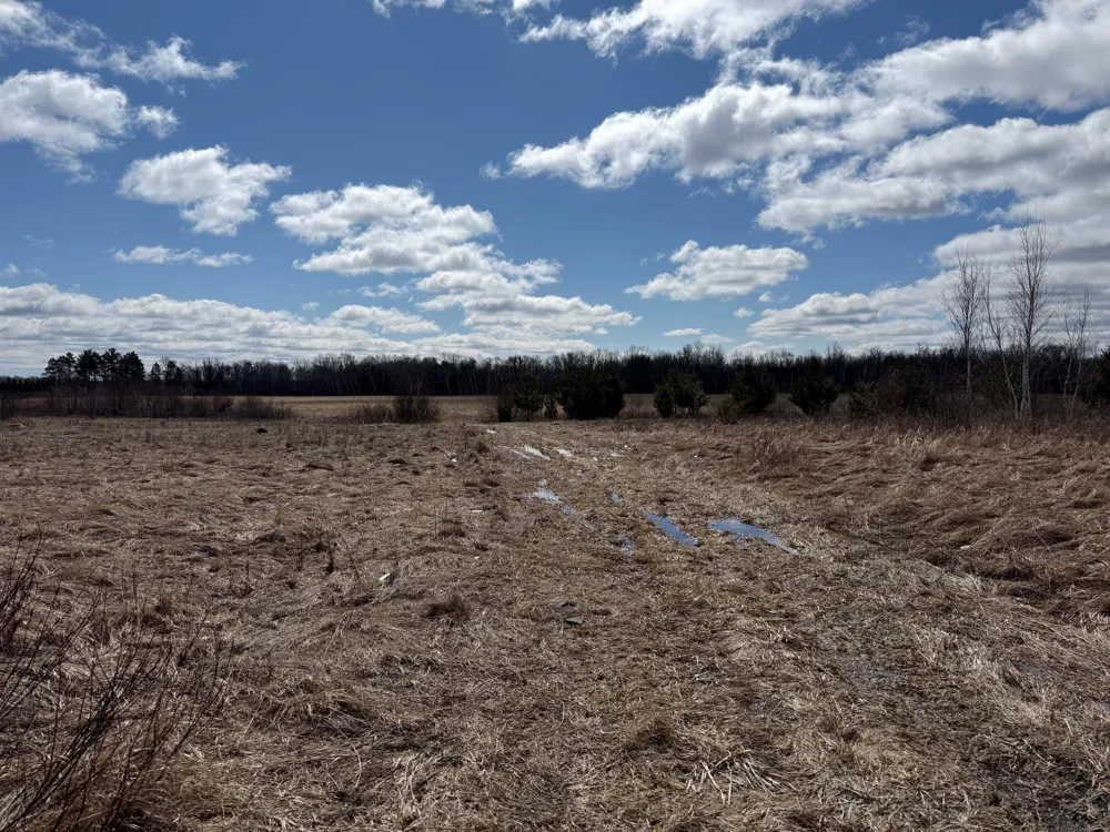 41273 Swede Alley Hinckley, MN 55037