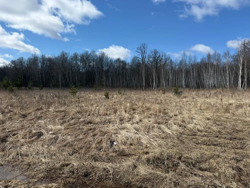 41273 Swede Alley Hinckley, MN 55037