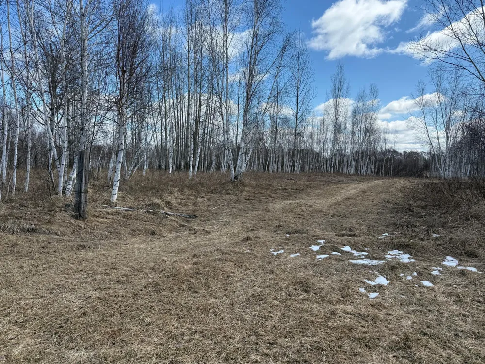 41273 Swede Alley Hinckley, MN 55037
