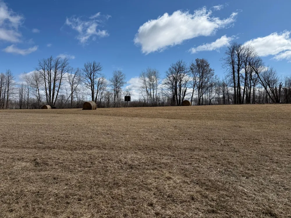 41273 Swede Alley Hinckley, MN 55037