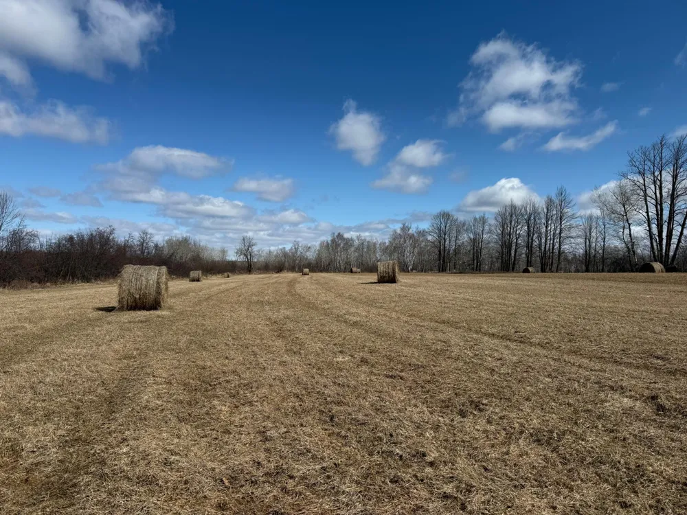 41273 Swede Alley Hinckley, MN 55037