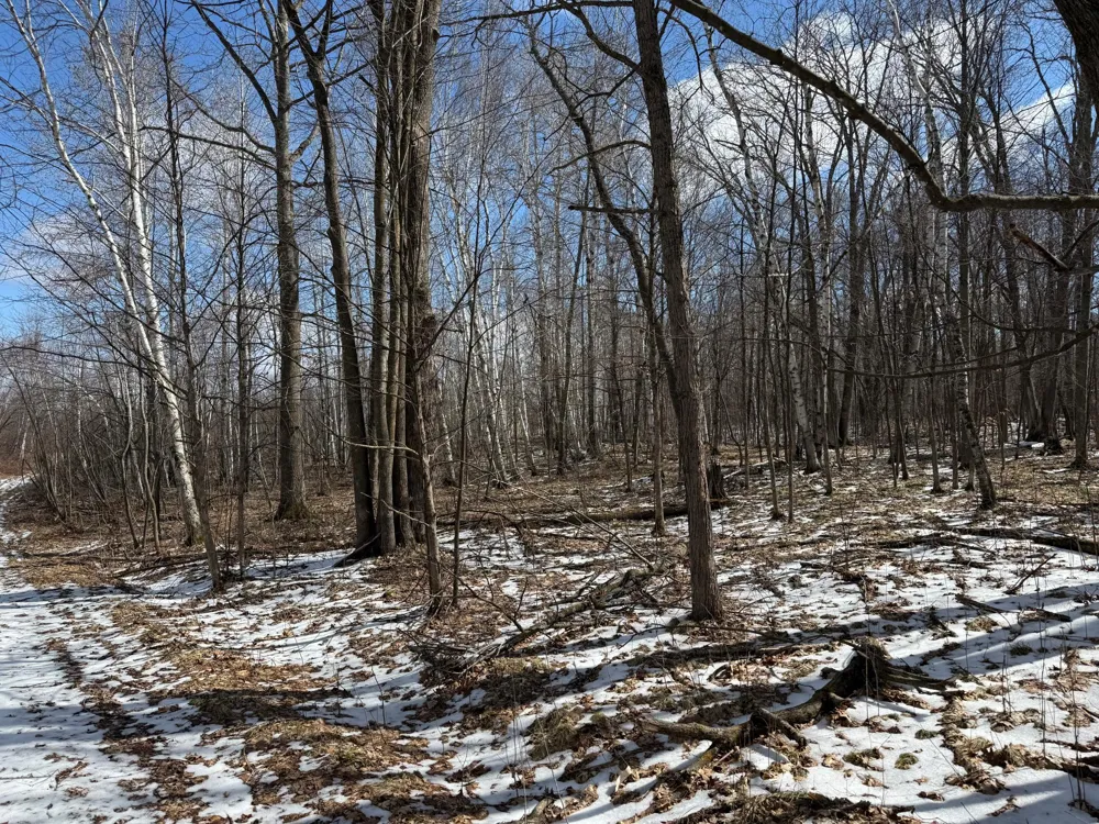 41273 Swede Alley Hinckley, MN 55037