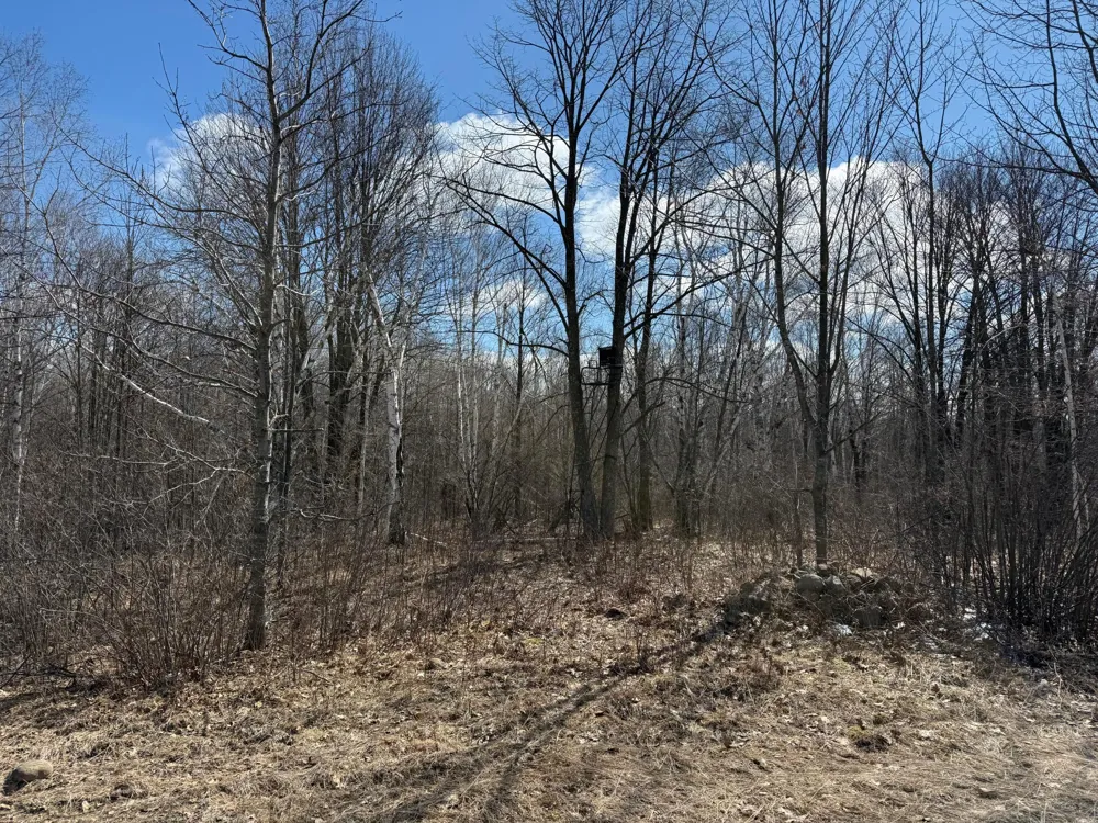 41273 Swede Alley Hinckley, MN 55037