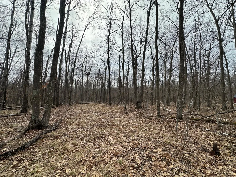 17700 County Road 41 Willow River, MN 55795