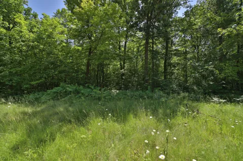 Tract D Olander Road