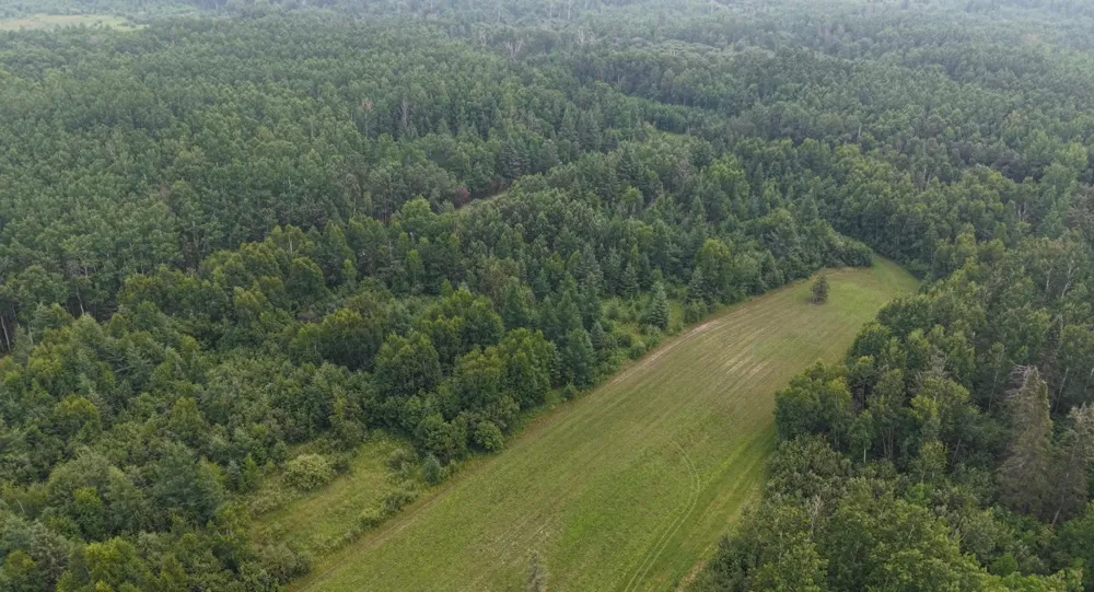TBD Tangnes Forest Road Roosevelt, MN 56673