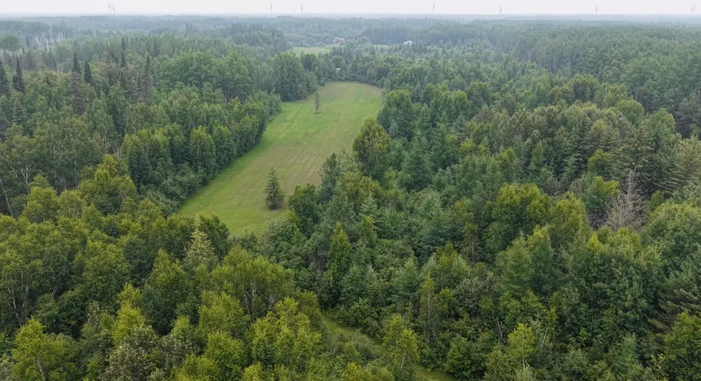 TBD Tangnes Forest Road Roosevelt, MN 56673