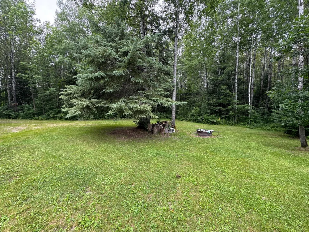 TBD Tangnes Forest Road Roosevelt, MN 56673