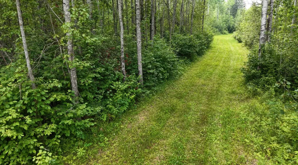 TBD Tangnes Forest Road Roosevelt, MN 56673