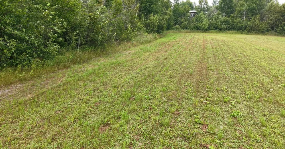 TBD Tangnes Forest Road Roosevelt, MN 56673