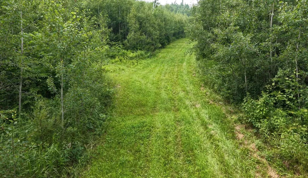 TBD Tangnes Forest Road Roosevelt, MN 56673