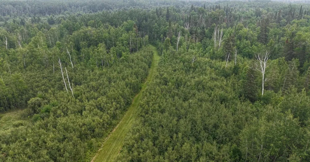TBD Tangnes Forest Road Roosevelt, MN 56673