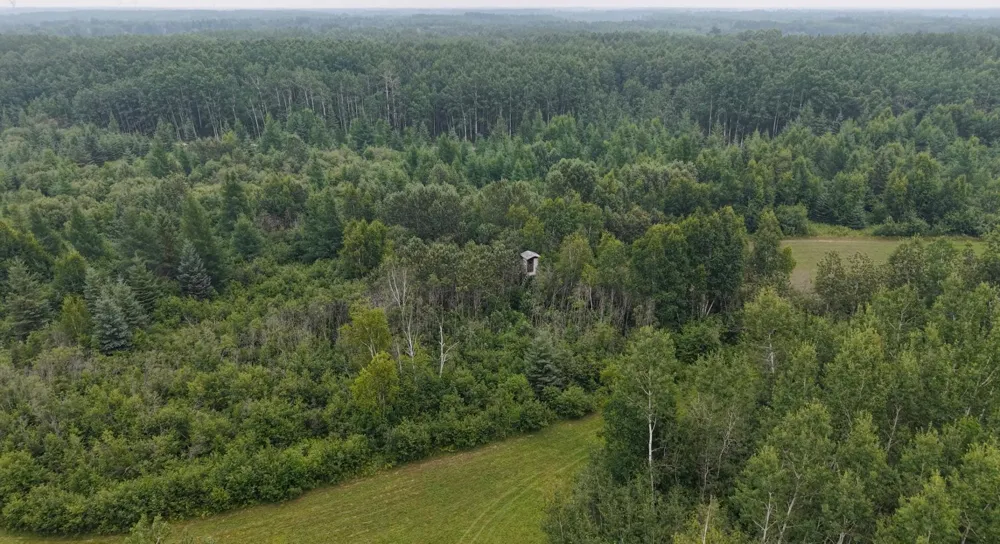 TBD Tangnes Forest Road Roosevelt, MN 56673